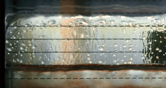 Uma imagem contendo no interior, comida, mesa, mulher O conteúdo gerado por IA pode estar incorreto.